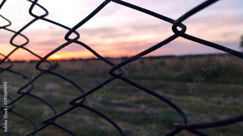 fence in sunset