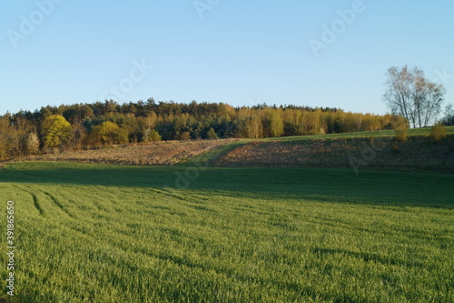 Wallpaper Mural Wiosna Torontodigital.ca