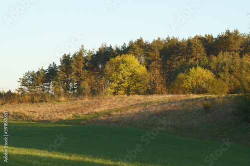 Wallpaper Mural Wiosna Torontodigital.ca