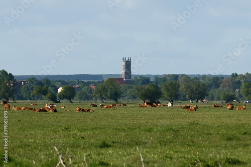 Wallpaper Mural Sielanka Torontodigital.ca