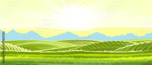 Rural hills. Rustic. Pasture grass for cows and a place for a vegetable garden and farm. Meadows and trees. The sun. Beautiful view. Summer. Vector