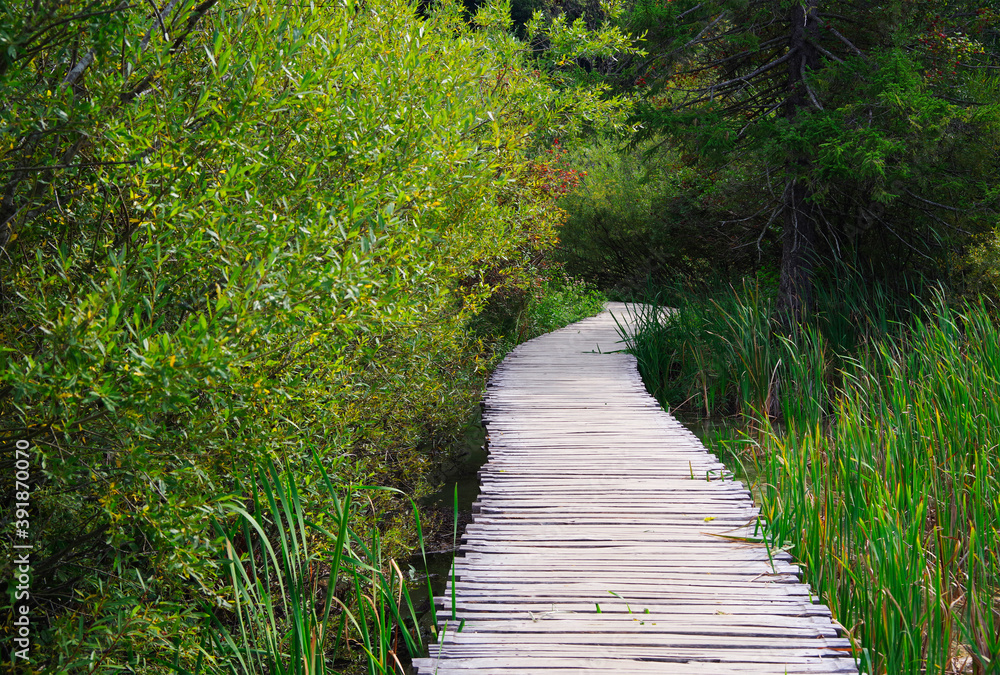Wooden path in Plitvice National Park, Croatia, Europe Wooden path in Plitvice National Park, Croatia, Europe