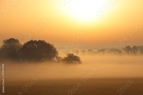 Nebellandschaft Emsland © Prieshof PixEL