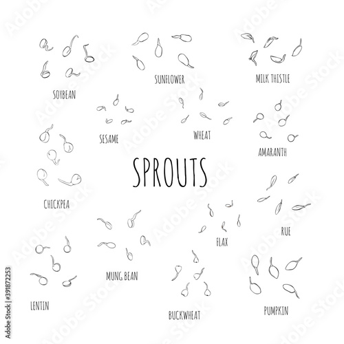 Set of line ink growing seeds - vector illustration. Microgreens in the style of sketch and hand drawing. Soybean sprouts, mung bean Healthy and wholesome vegan food for restaurants, cafes, kitchens.