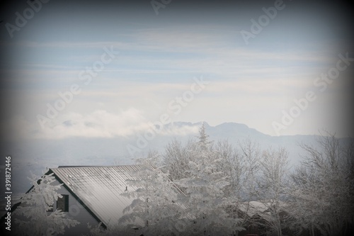 Fényképezés Snowbound