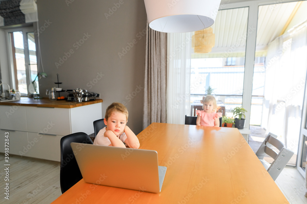 Fototapeta premium Small smiling kids brother and sister laugh and play laptop, communicate video conference chatting. Spacious cozy home interior.
