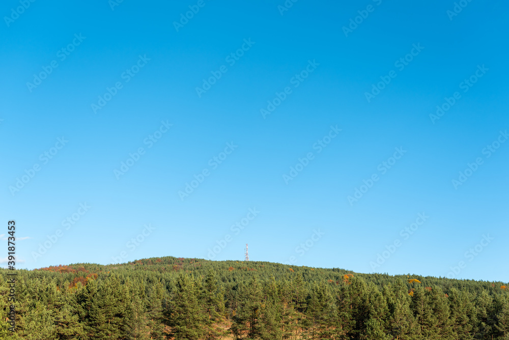 Autumn landscape green warm orange forest with clear blue sky on sunny day Autumn landscape green warm orange forest with clear blue sky on sunny day