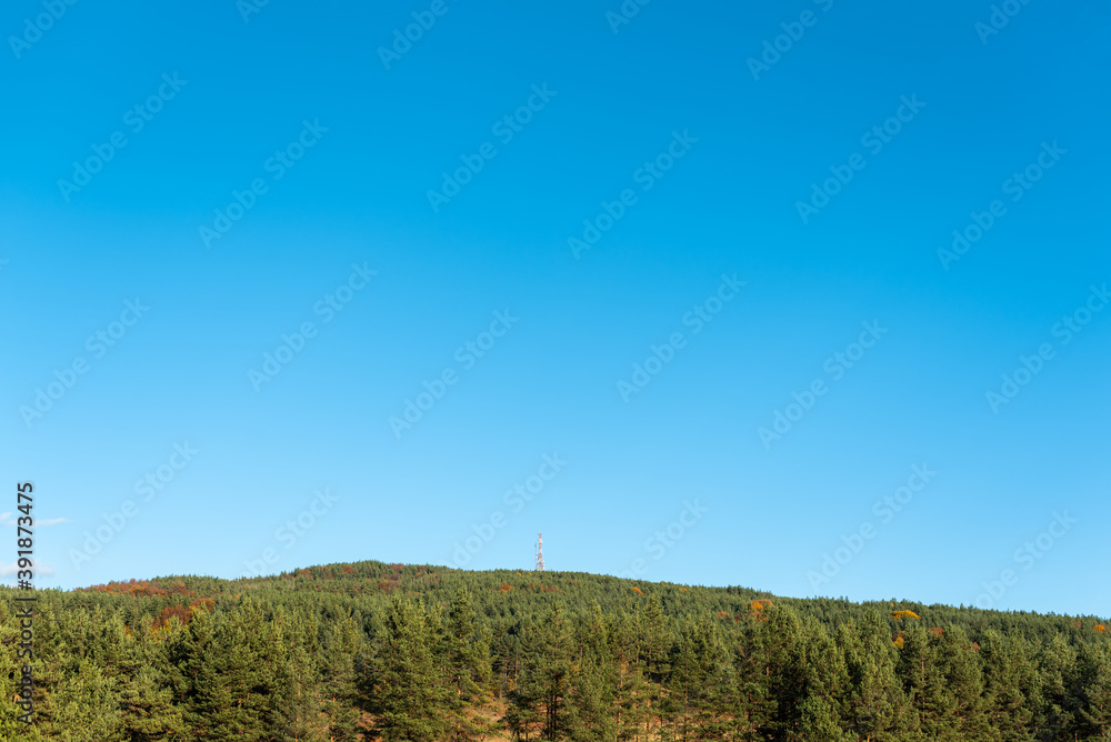 Autumn landscape green warm orange forest with clear blue sky on sunny day