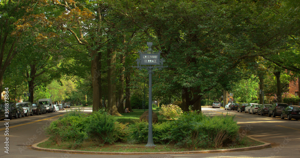 Photography Poster Forest Hills Neighborhood Homes and Gardens
