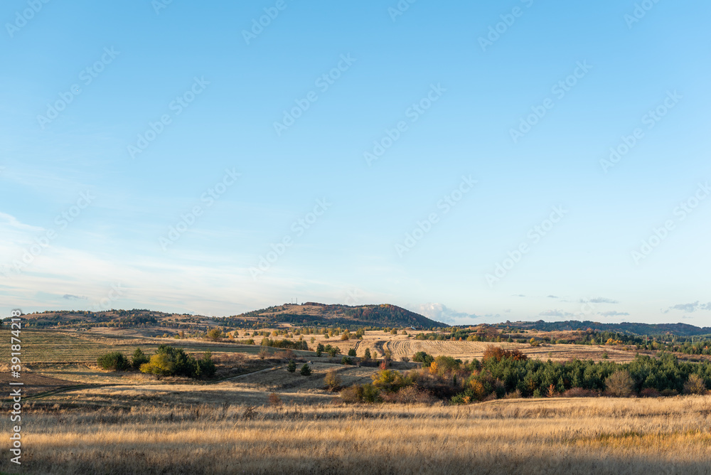 Colorful autumn trees golden field clear blue sky background rural hillside view