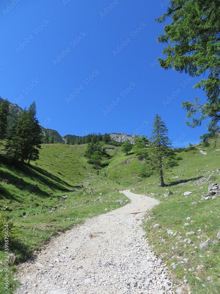 Obraz premium path in the mountains