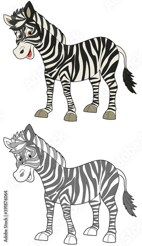 cartoon scene with sketch with happy zebra on white background illustration