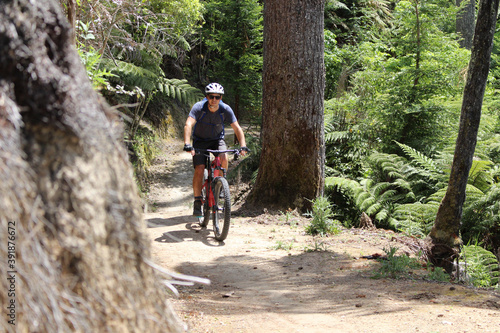 person riding a mountainbike bicycle