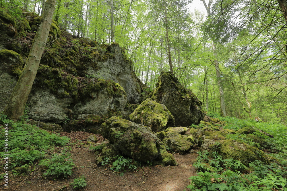 The remains of the Burkhardt Cave in the Swabian Alb which was blasted in spring 1945 by the Wehrmacht