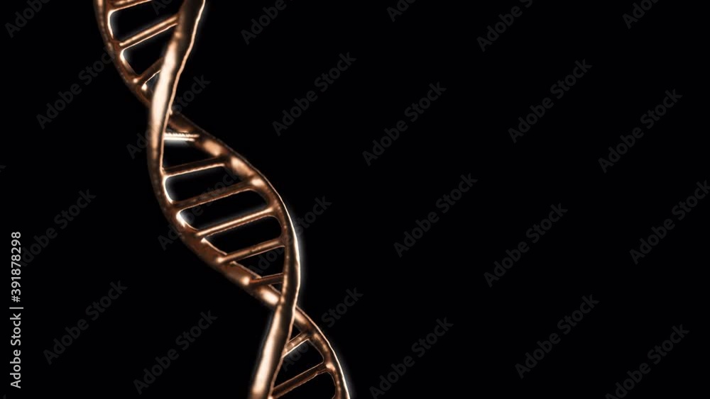 Abstract metallic glittering golden DNA double helix rotating with
