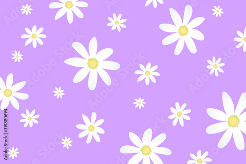 Vector pattern illusration white daisy flowers on a purple background. EPS10.