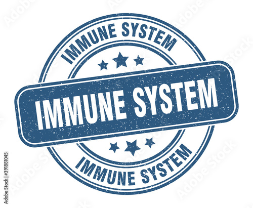 immune system stamp. immune system label. round grunge sign