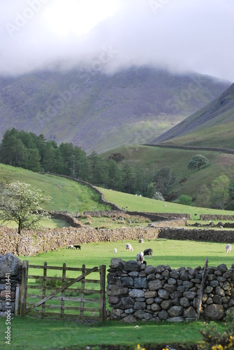 Rural farming hills scene