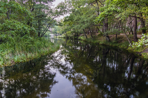 River Piasnica in Debki resort village on the Baltic Sea coast in Pomerania region of Poland