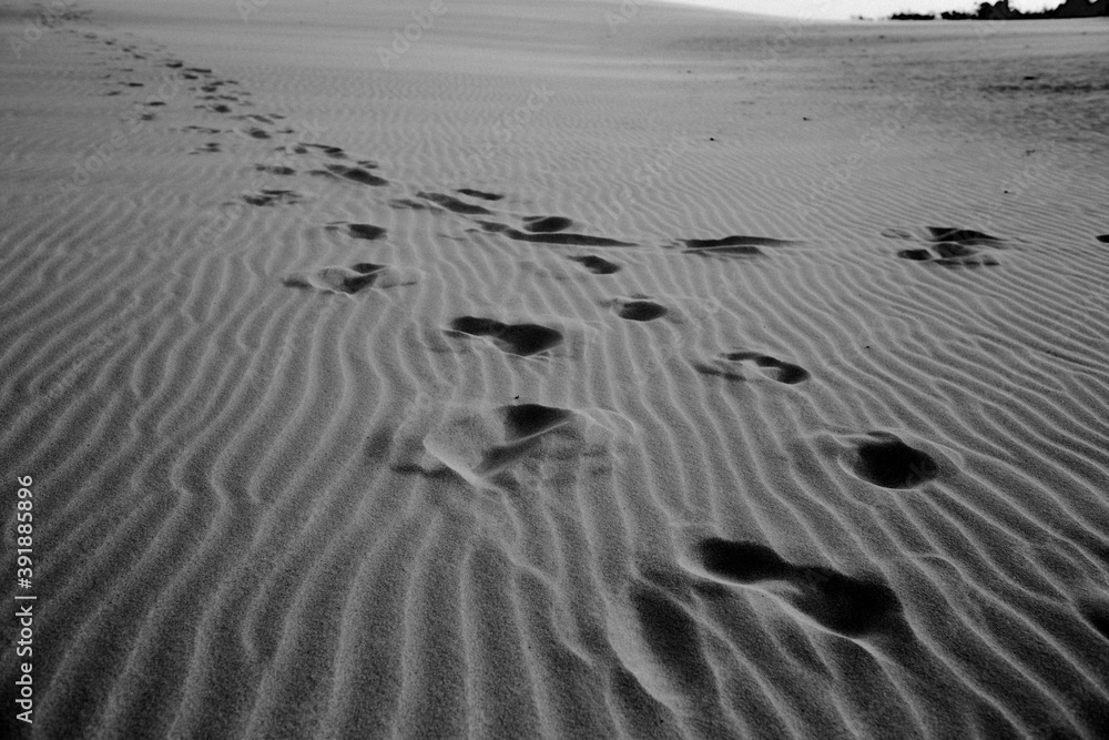 Obraz premium pegadas