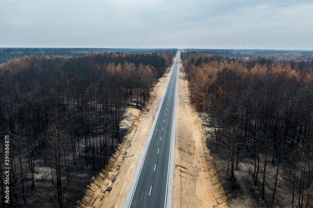 empty asphalt highway between burnt pine forest. empty asphalt highway between burnt pine forest.