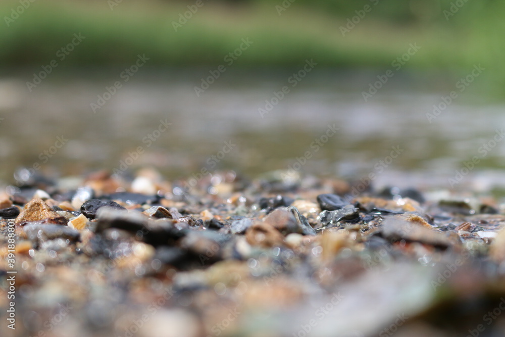 Fototapeta premium 川の流れ