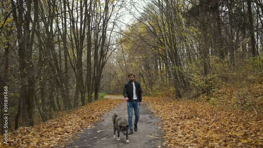 Brutal brunette walking a dog in the autumn park. Self-isolation in nature during an epidemic Brutal brunette walking a dog in the autumn park. Self-isolation in nature during an epidemic