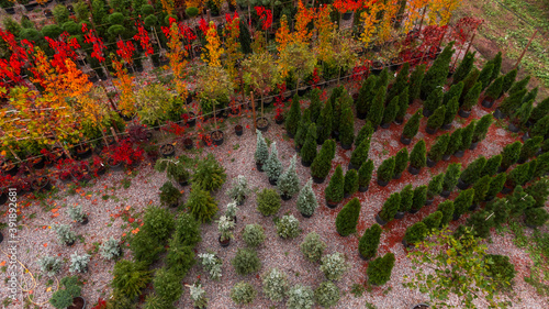 Abstract landscape, Aerial view of colorful fields, Orchard and flowers from above. Autumn time photo