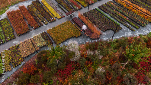 Abstract landscape, Aerial view of colorful fields. Pattern of flowers field. Autumn photo