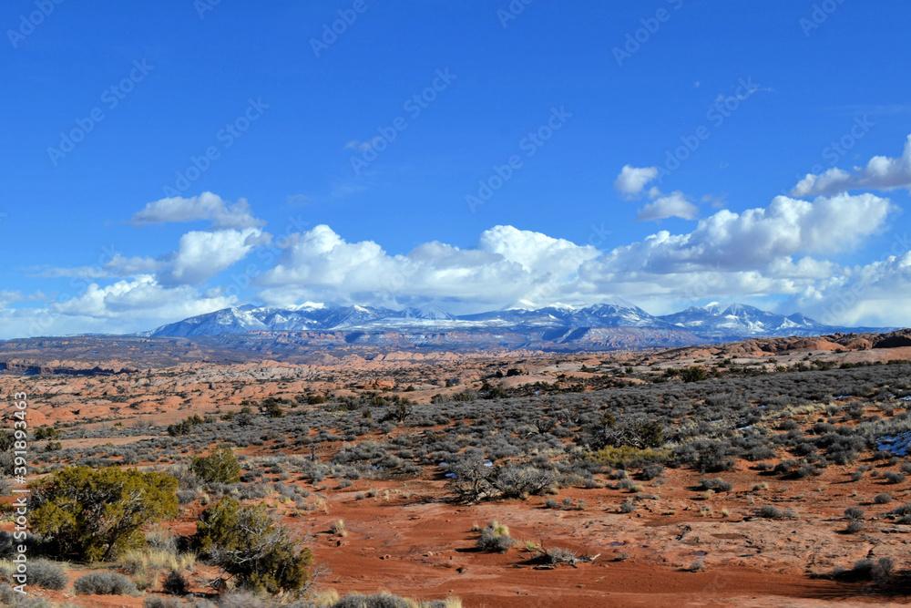 Petrified dunes and La Sal Mountains in the background, Arches National Park, Moab, Utah
