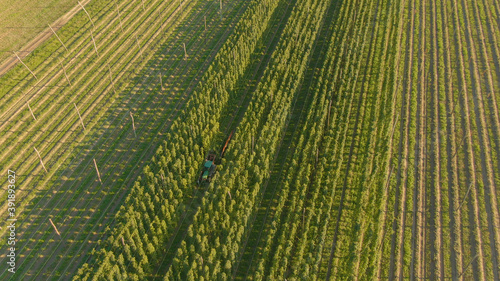 DRONE  Beer brewers ride in the back of a tractor and harvest crops on sunny day