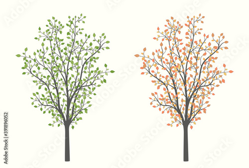 Tree with green red and yellow leaves in two versions