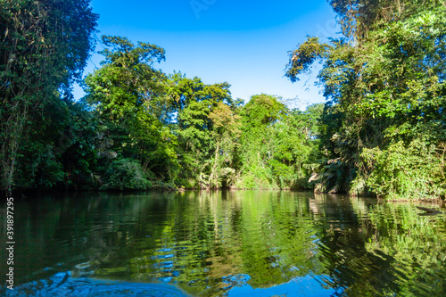 Mangrove forrest of Tortuego national park at Costa Rica