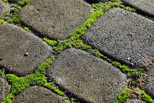 Paving stones with ingrown weeds and moss. An annual problem in front of the house.