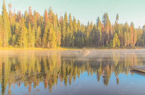 Pine trees and their reflection on the lake.