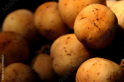 Longkong is the name of Thai fruit. It is round, yellow, sweet and delicious