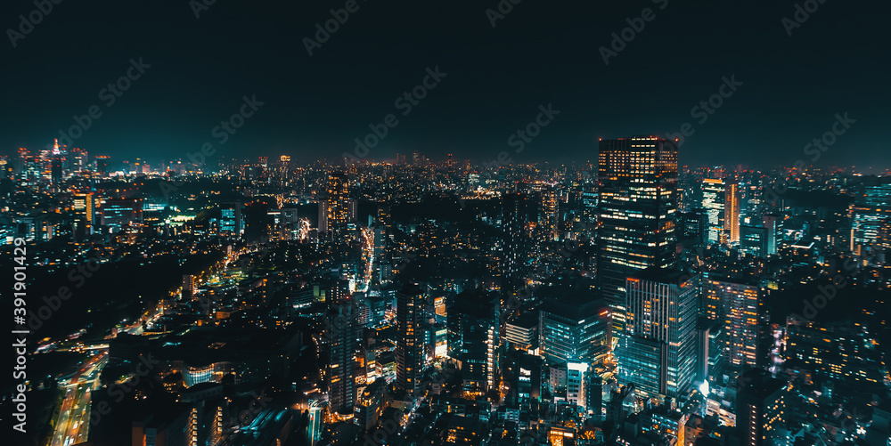 Tokyo, Japan cityscape view from high above