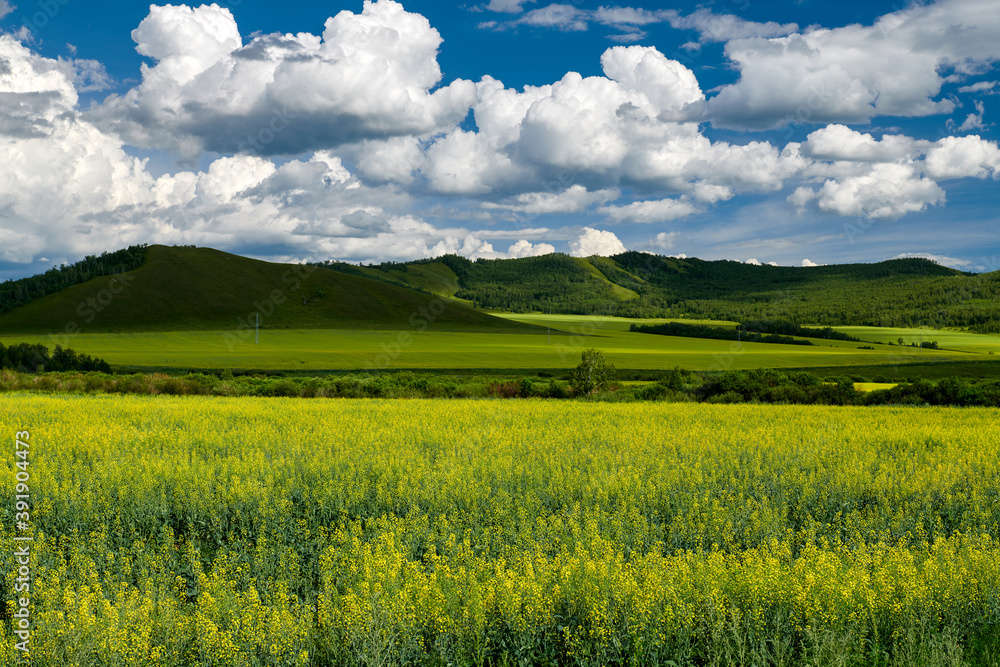 Obraz premium The summer prairie and cloudscape of Hulunbuir of China.