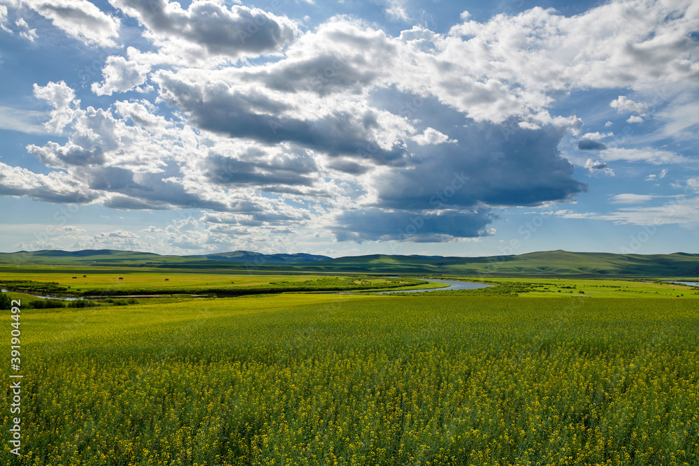 The summer prairie and cloudscape of Hulunbuir of China.