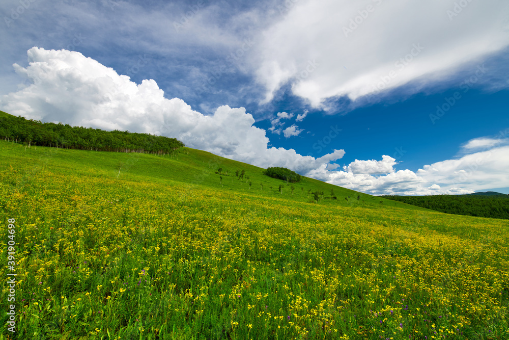 The summer prairie and cloudscape of Hulunbuir of China.