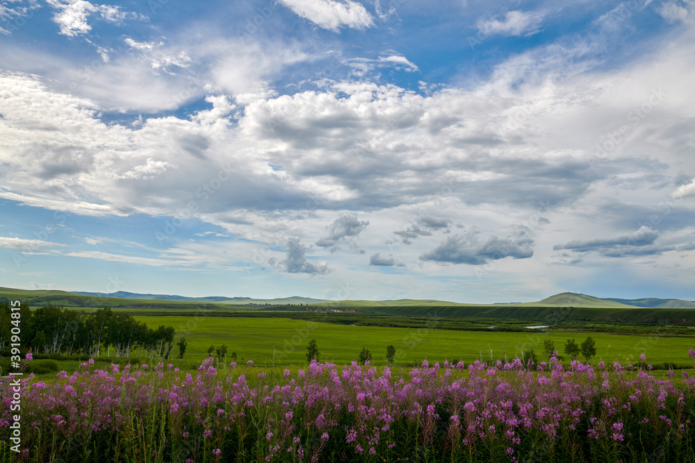 The summer prairie and cloudscape of Hulunbuir of China. The summer prairie and cloudscape of Hulunbuir of China.