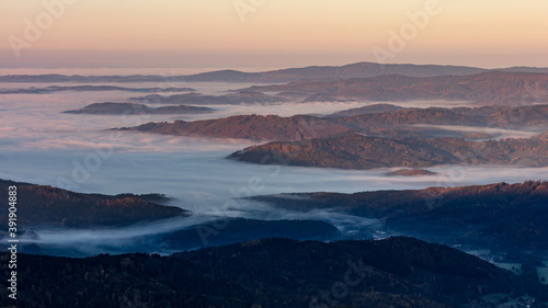 Morning mist rolling over wavy meadows enlightened by sunrise sun. Dark trees in the foreground,.