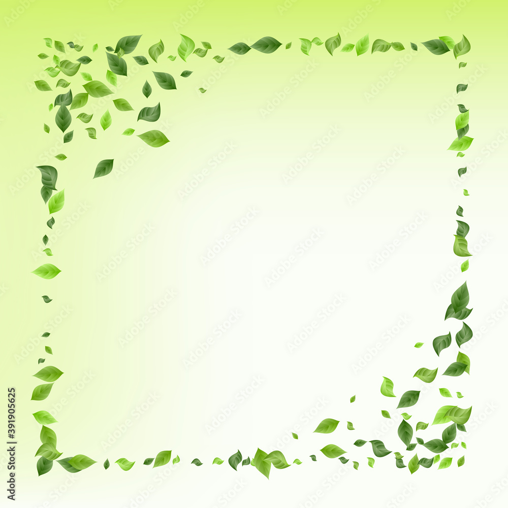 Grassy Leaves Organic Vector Green Background Grassy Leaves Organic Vector Green Background
