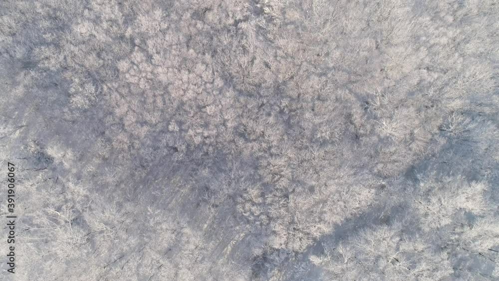 Aerial top view of winter forest covered with snow, 4k Aerial top view of winter forest covered with snow, 4k