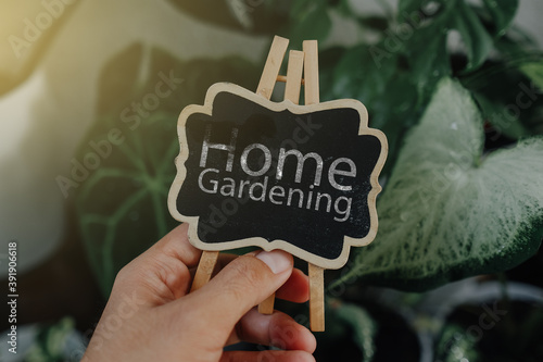Home Gardening word concept over nice green indoor plant as background