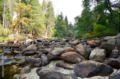 Wallpaper Mural Yosemite at Fall 2020, colorful trees and Bushes  Torontodigital.ca