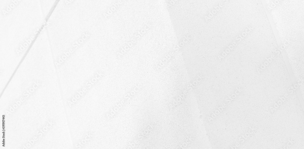 Abstract Shadow. blur background. gray leaves that reflect concrete walls on a white wall surface for blurred backgrounds and monochrome wallpapers. Abstract Shadow. blur background. gray leaves that reflect concrete walls on a white wall surface for blurred backgrounds and monochrome wallpapers.