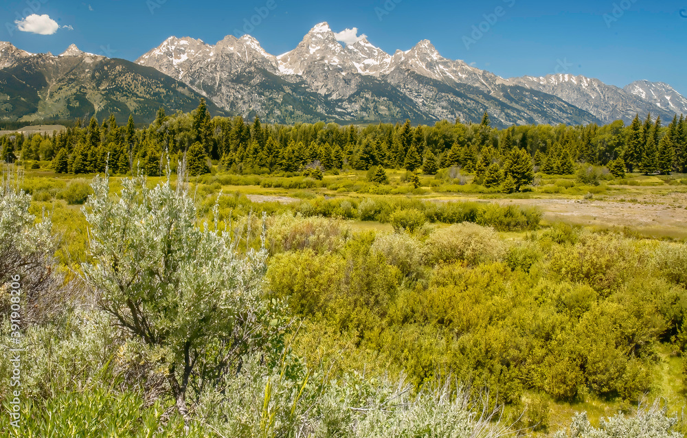 Tetons And Sage