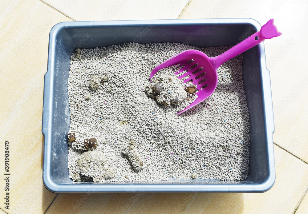 Cat poop on dirty cat litter scoop close up. Stock Photo Adobe Stock