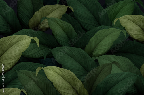 Green tropical leaves patterned background